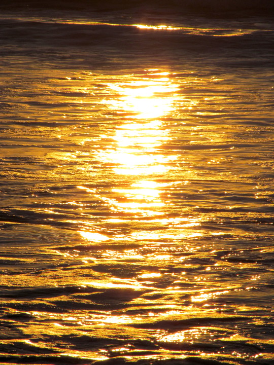 03 Cold Sea Warm Sun 3